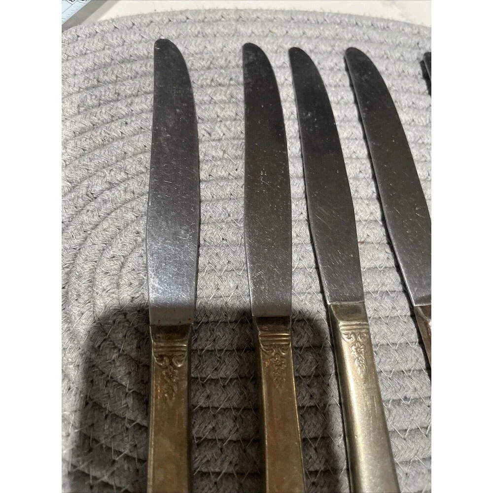 Wm Rogers  5 pc Knife Set Silverplate Vintage Spring Charm Flatware Patina